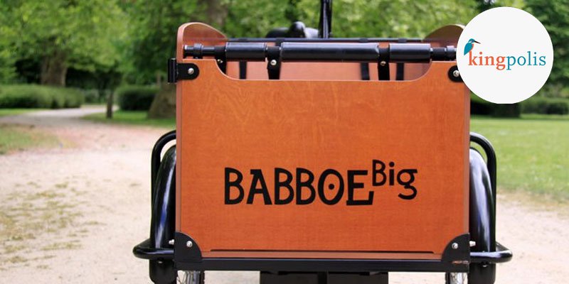 Babboe Kingpolis